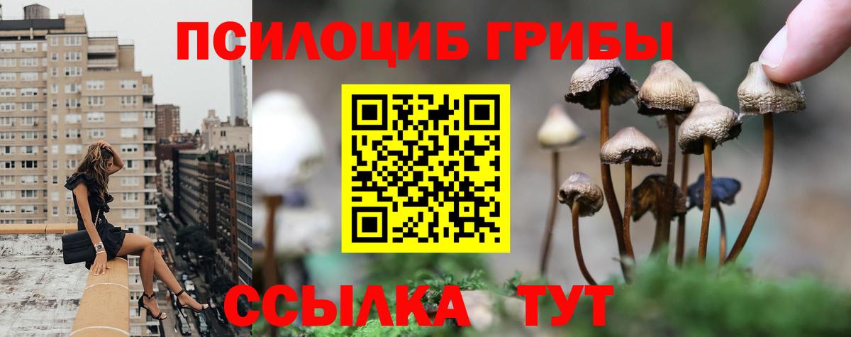 Реж  Псилоцибиновые грибы GOLDEN TEACHER  Вход с VPN 